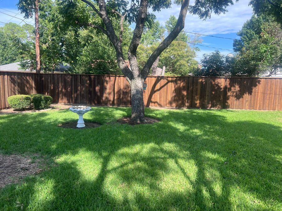 Custom Fence